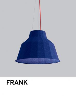 800x1000 FRANK copy